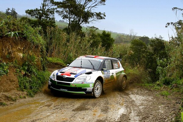 Skoda im Rallye-Sportwagen