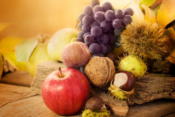 Autumn composition with apples, nuts and grapes