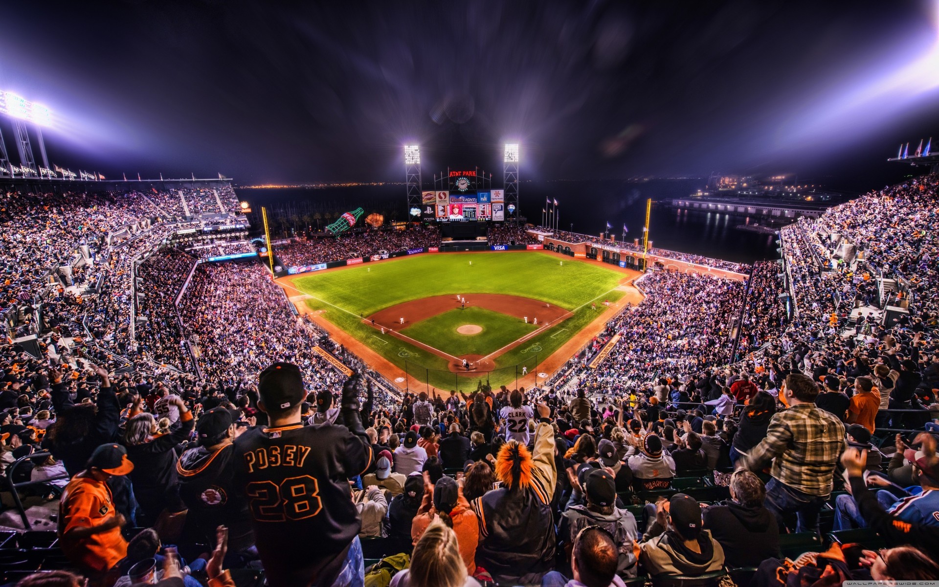 fans game stadium arena giants night crowd moe