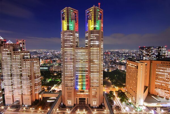 Luces de la metrópoli en la capital de Japón