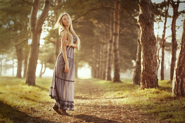 A walk through the sunny forest in spring