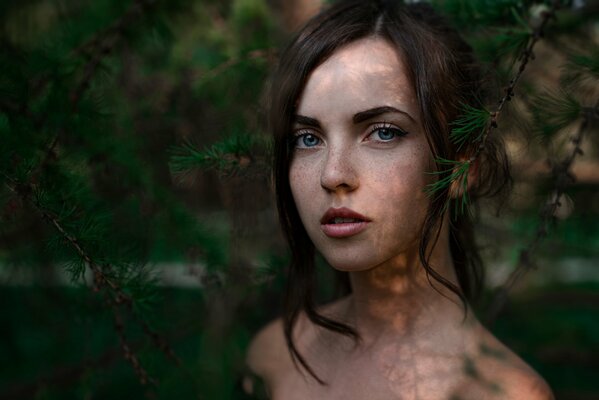 Beautiful girl with blue eyes among the pine needles