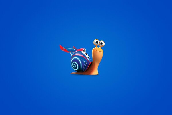 Turbo snail on a blue background