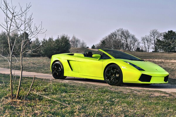 Lamborghini gallado spyder verde chiaro al neon sulla strada di campagna