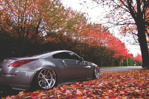 Gris Nissan 350Z au milieu de la route d automne