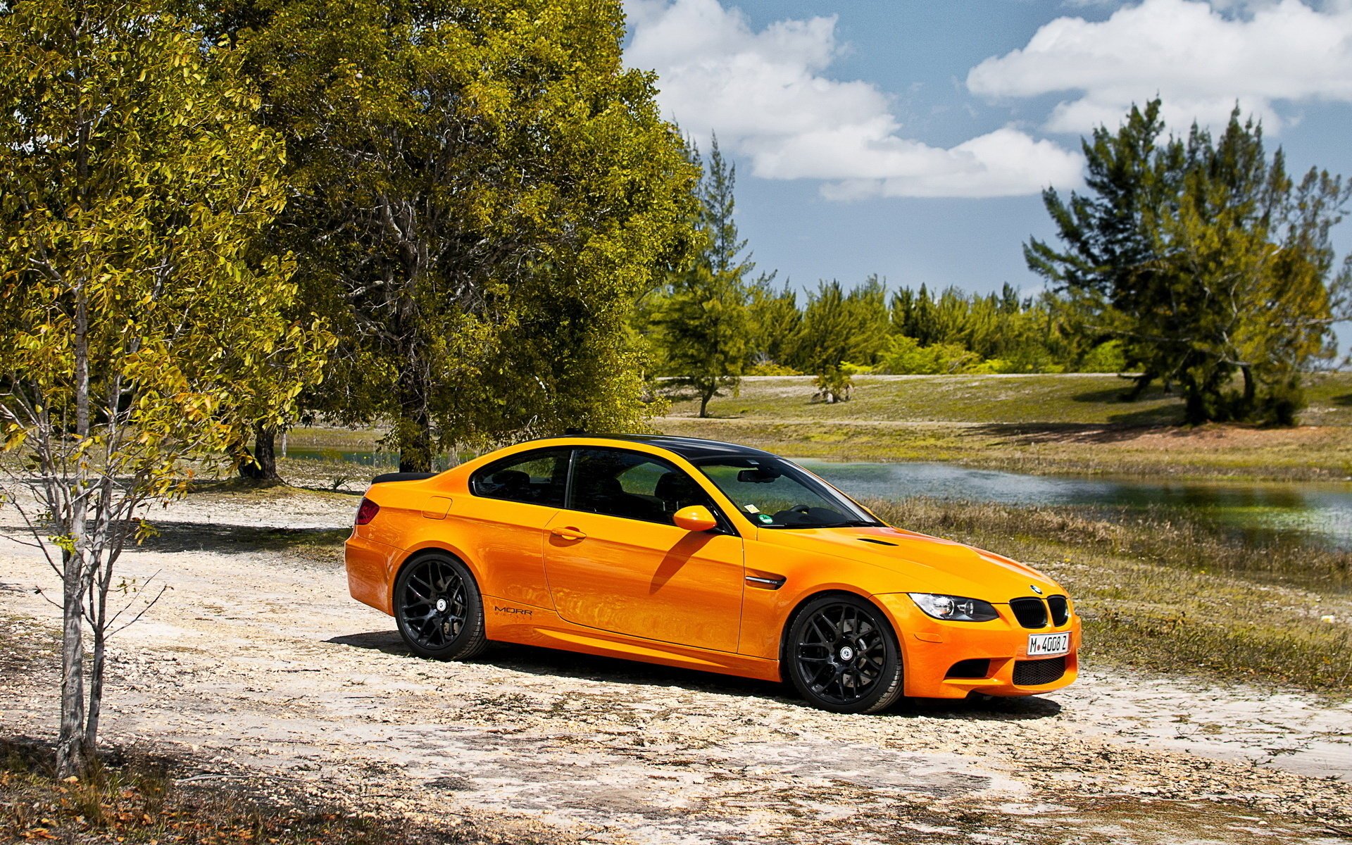 bmw m3 bmw coupé arbres nature