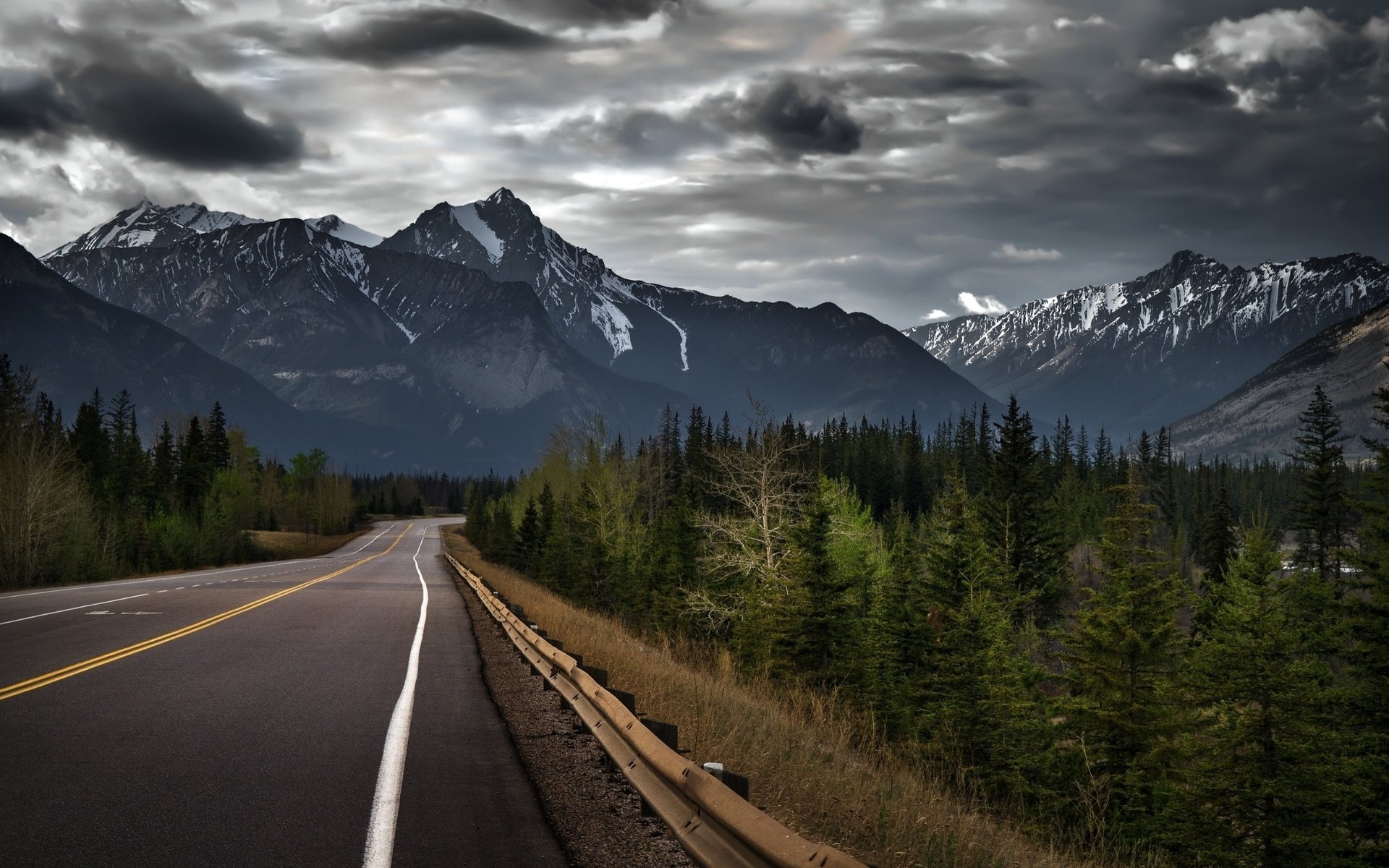 carretera montaña bosque