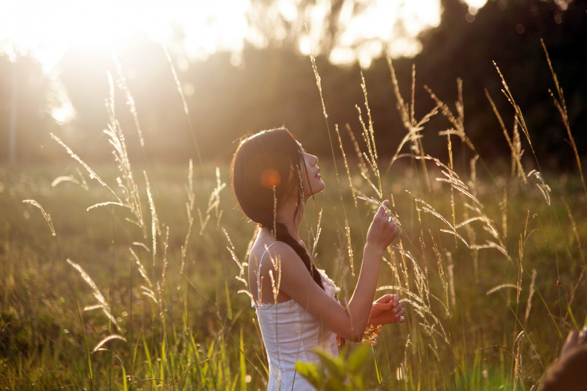 lee clara attrice asiatica coreana ragazza natura all aperto campo sole profilo tenerezza