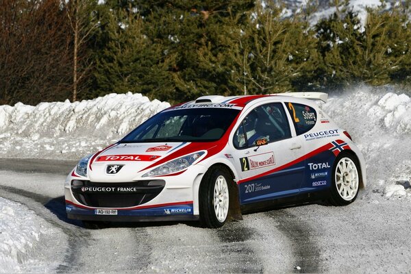 Voiture Peugeot pour la course