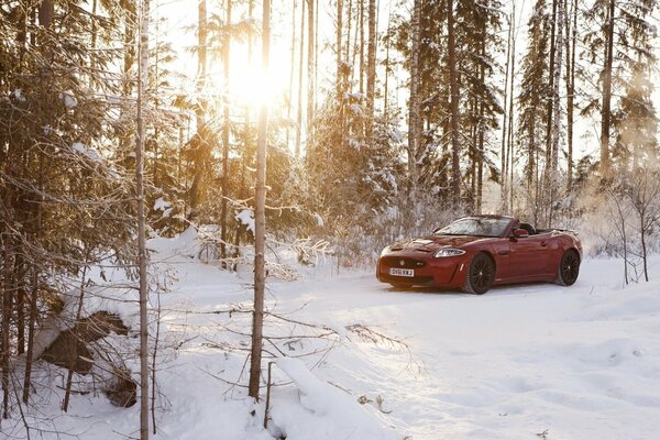 Jaguar convertible rojo en invierno en la nieve