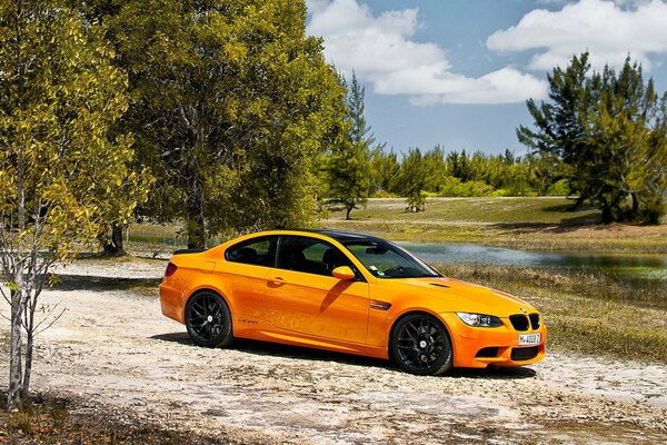 Yellow car on the background of a green forest