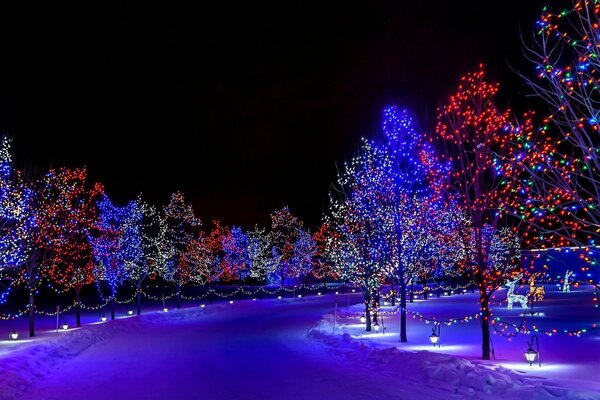 Beautiful winter landscape