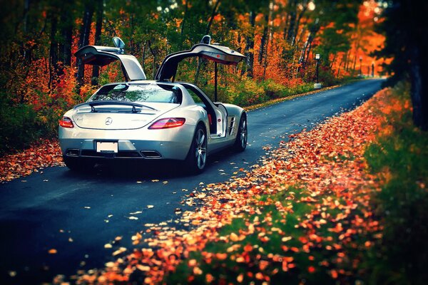 Mercedes-benz amg in the forest in autumn