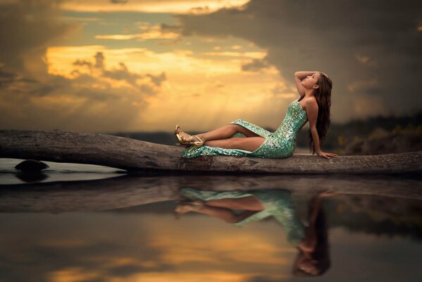 A mermaid on the shore is sitting on a branch