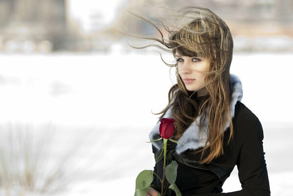 En el fondo de la mañana de invierno, una chica con una rosa