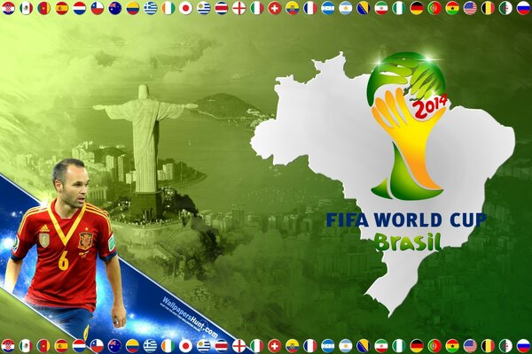 Чемпионат мира по футболу. Бразилия