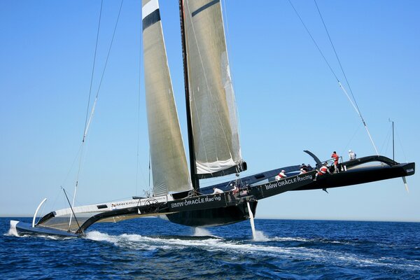 Black catamaran under sail on the horizon