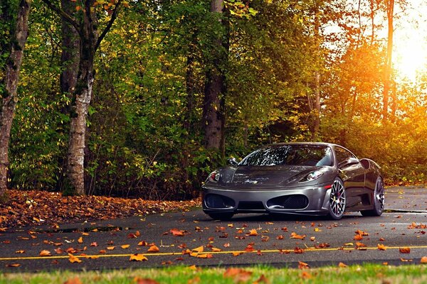 Ferrari su uno sfondo di alberi