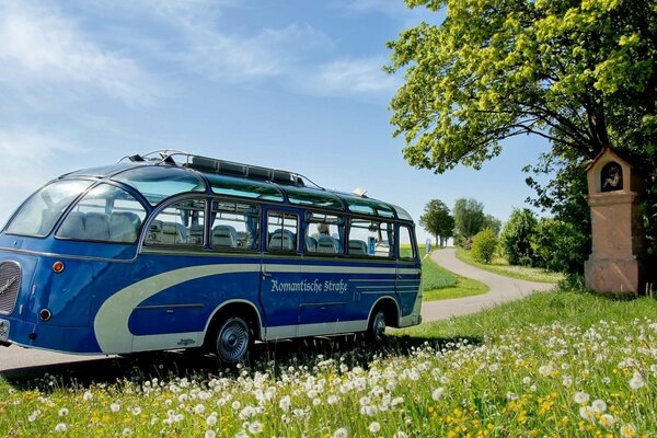 Blauer Bus steht am Straßenrand