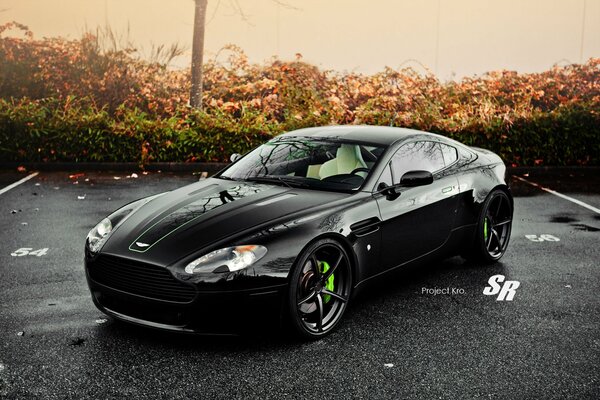 Black car on dark asphalt in autumn