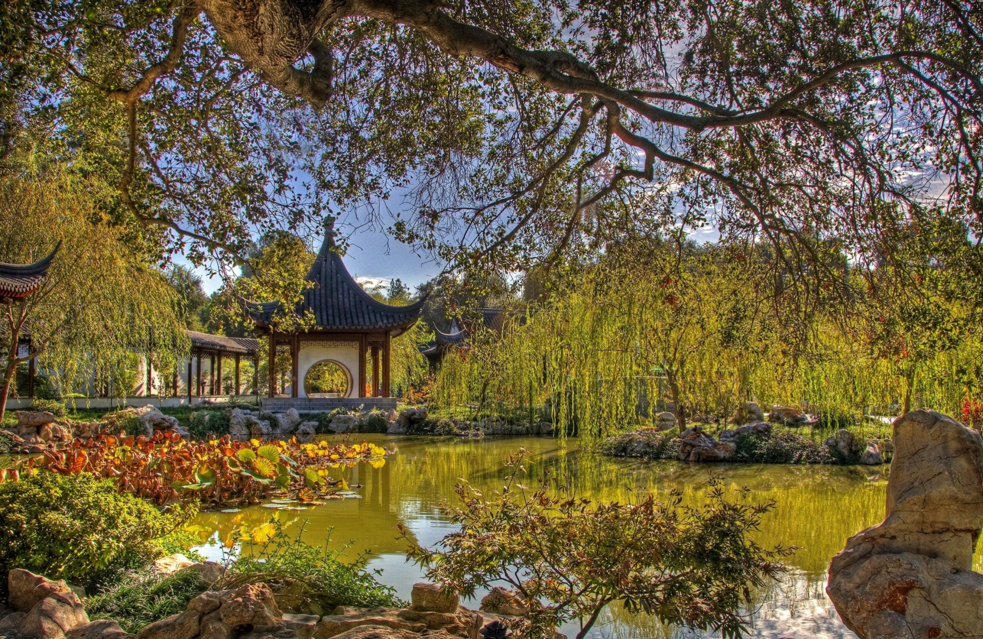 árbol pérgola estanque china flora rama