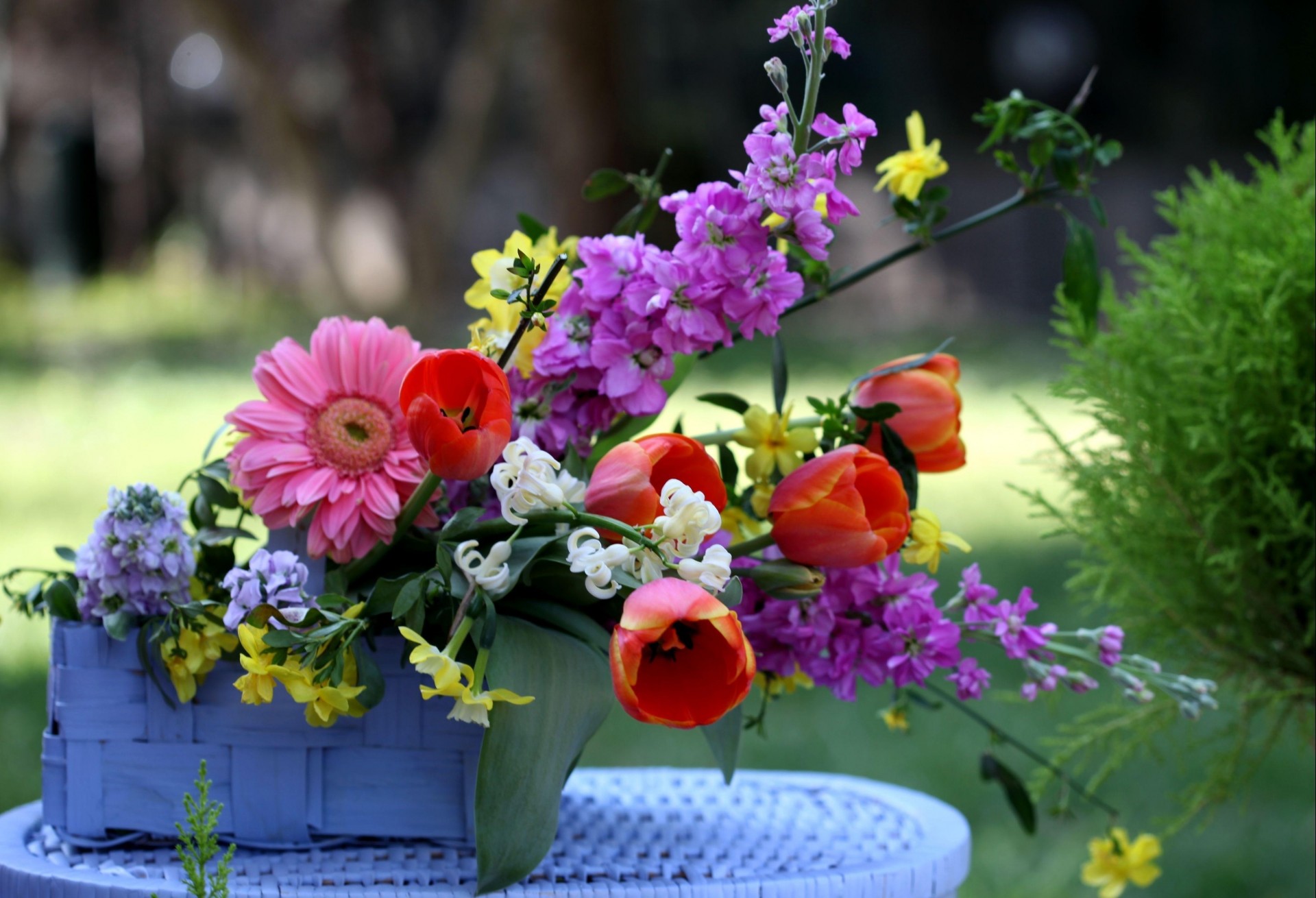 gerberas compras composición tulipanes