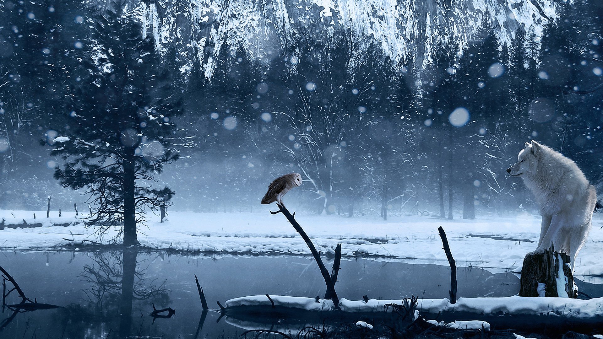 hibou loup hiver neige lac art