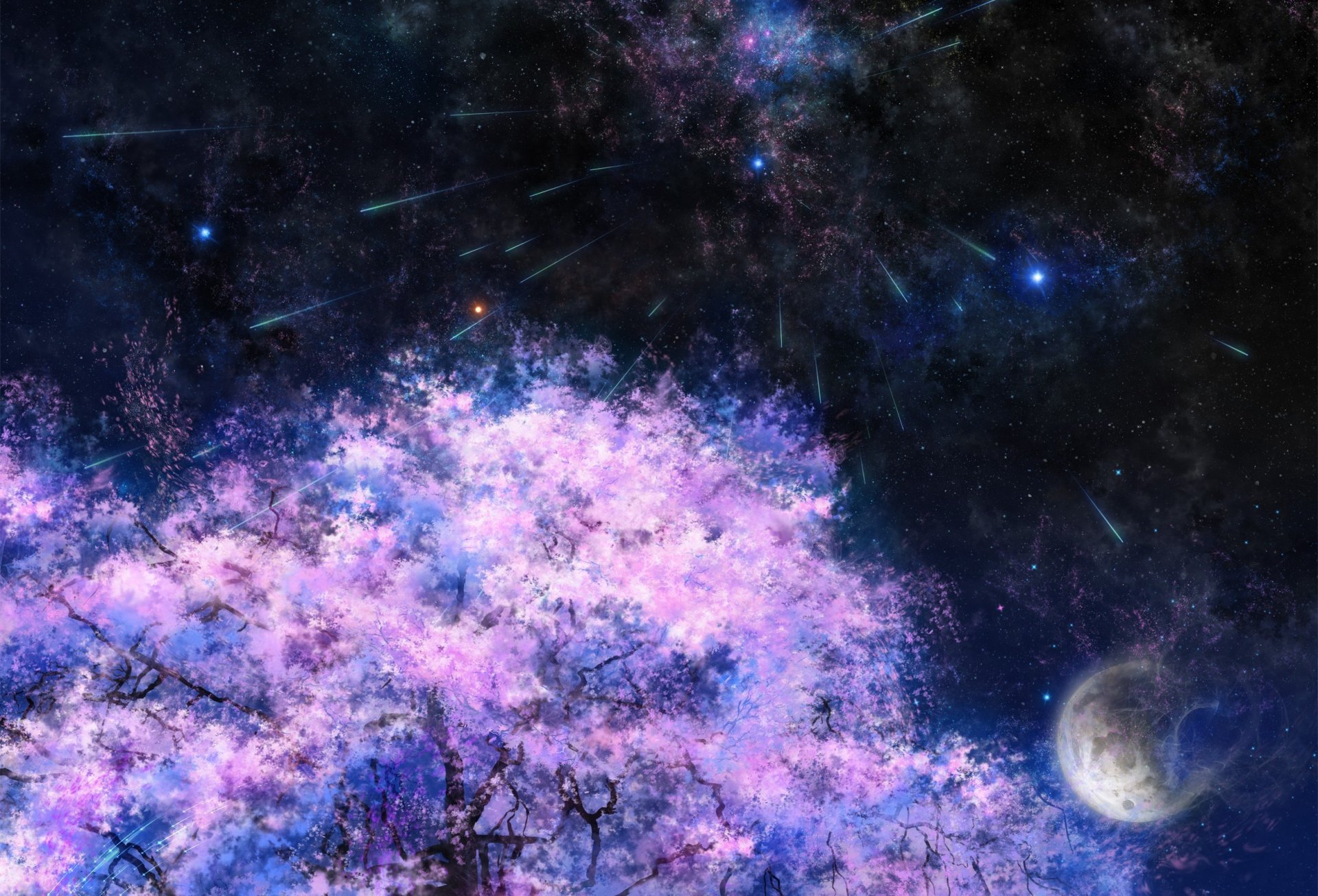 art sakura tree moon stars night space