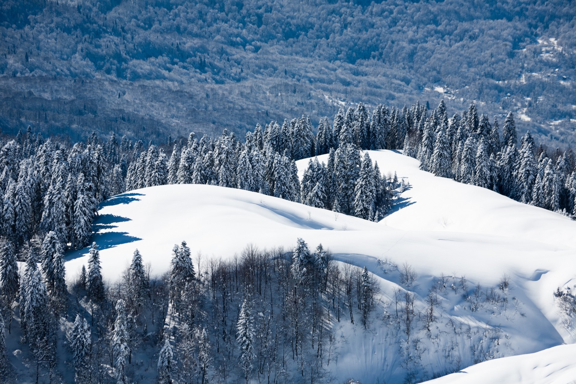 russland landschaft natur wald berg sotschi krasnaja poljana