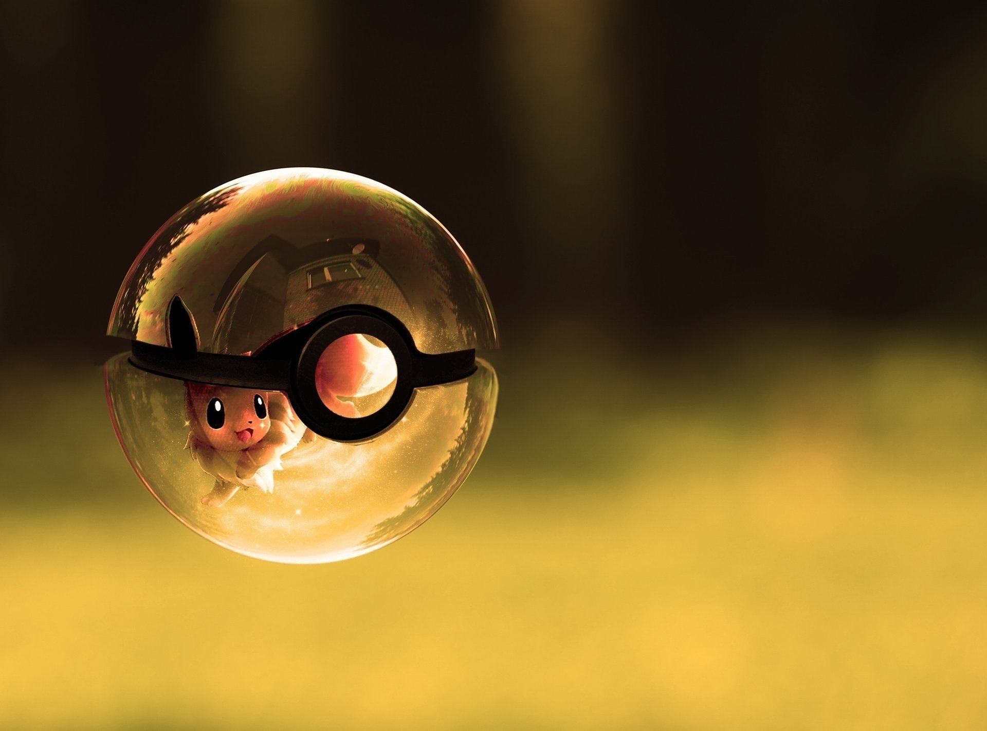 pokemon bateau en verre boule