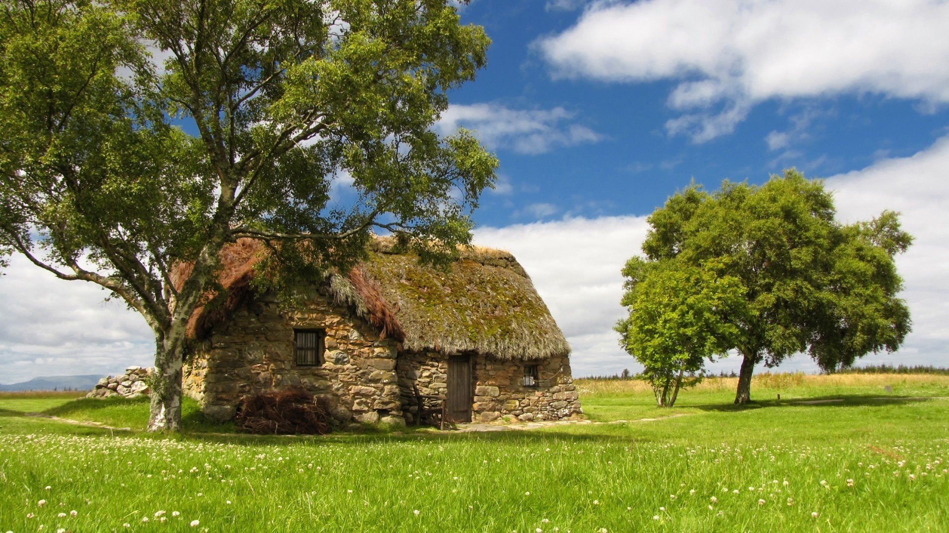 hut house meadow summer