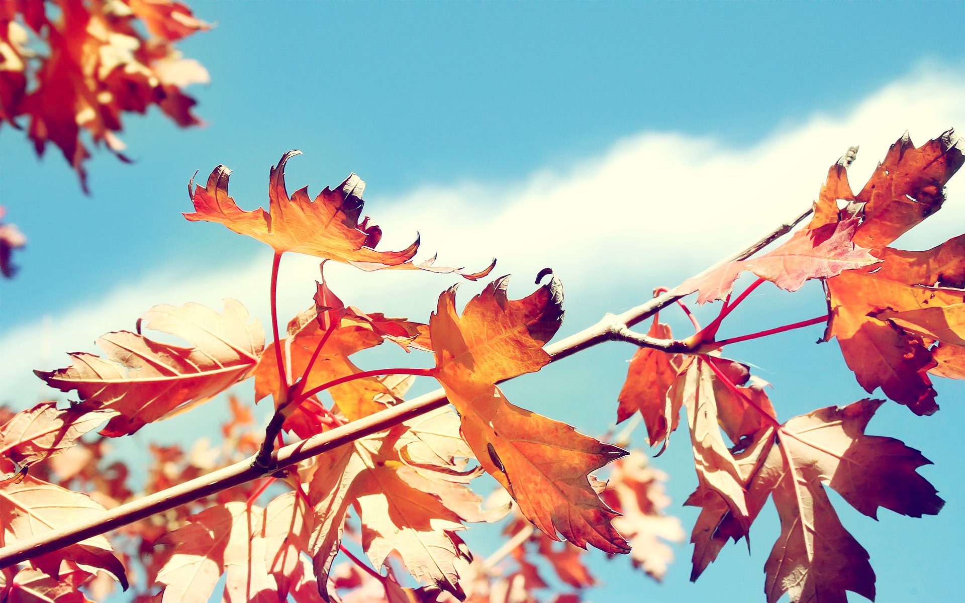 autunno cielo lituania