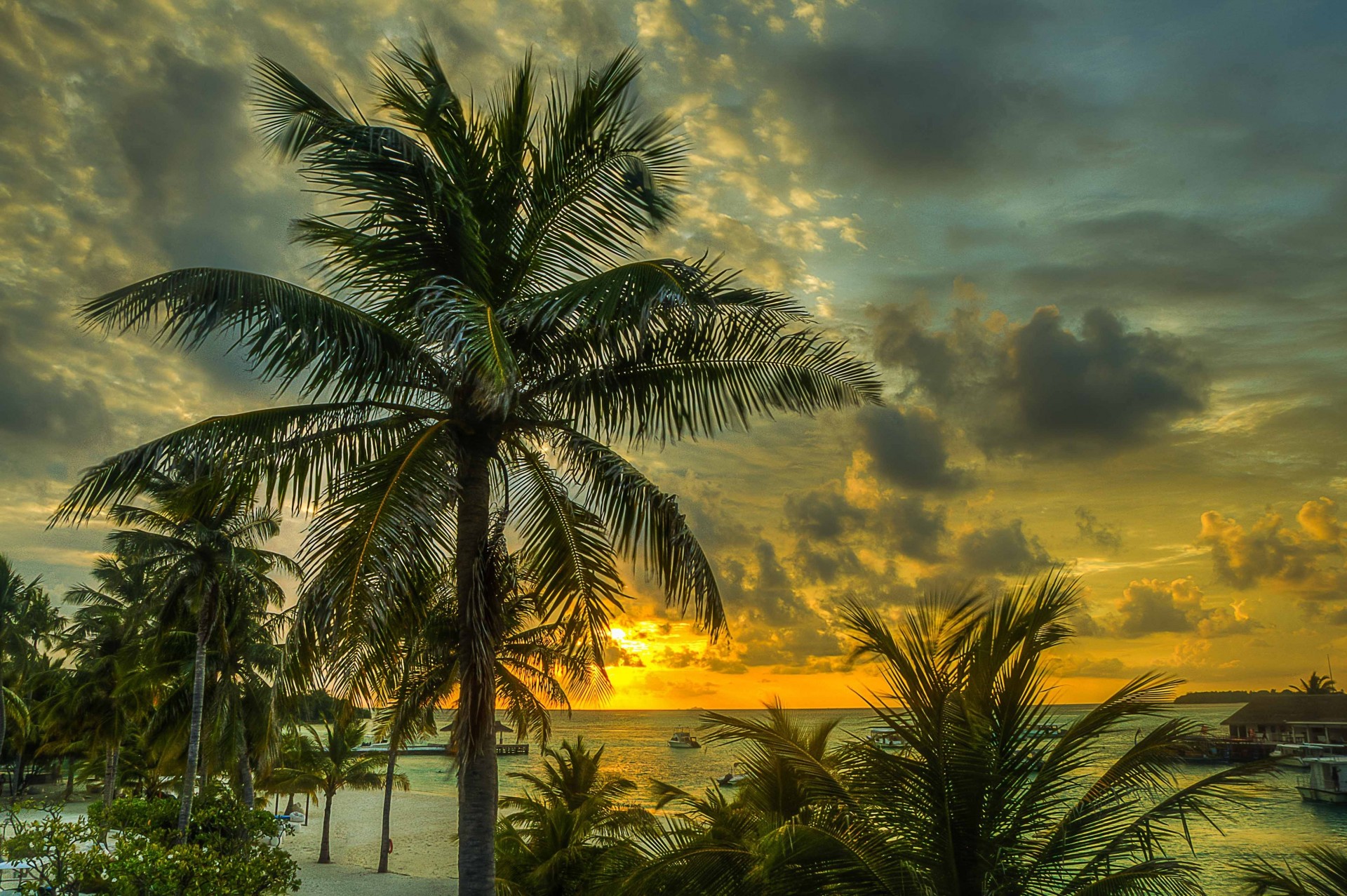 paradies meer palmen sonnenuntergang