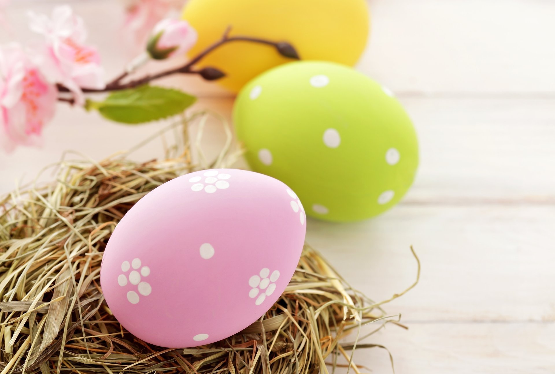 ostern nest gelb ostern rosa eier ostern