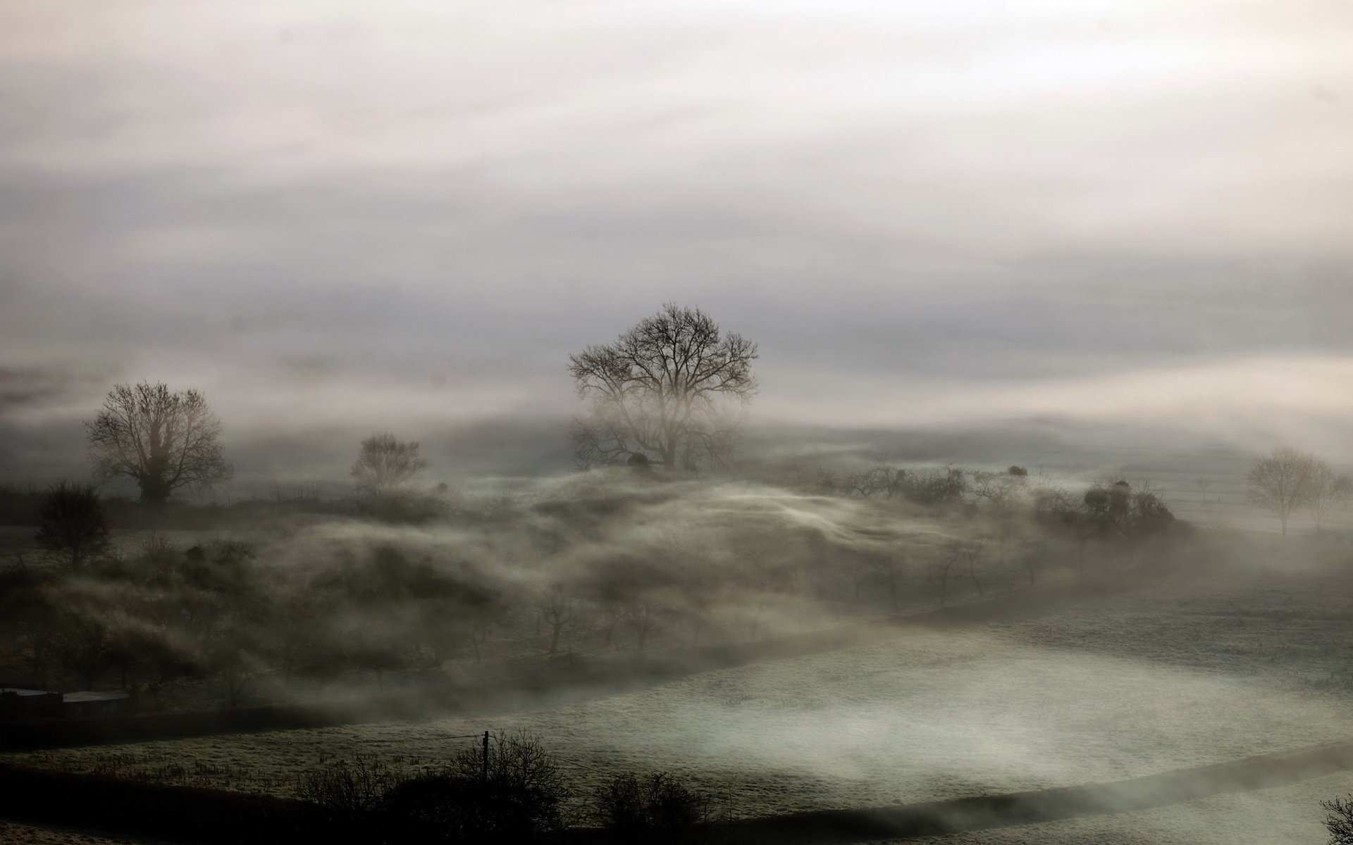 feld nacht nebel landschaft