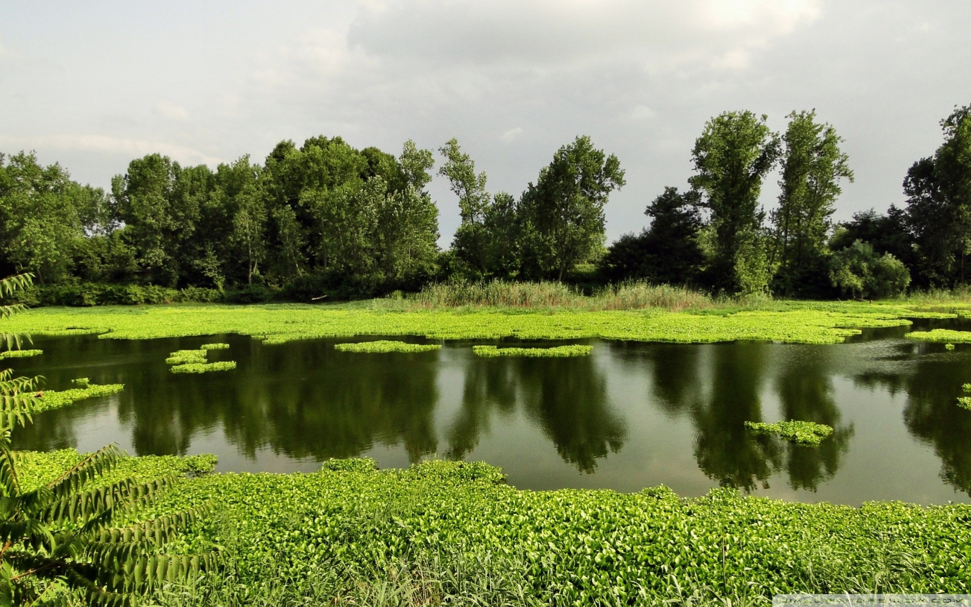 lago paesaggio estate natura