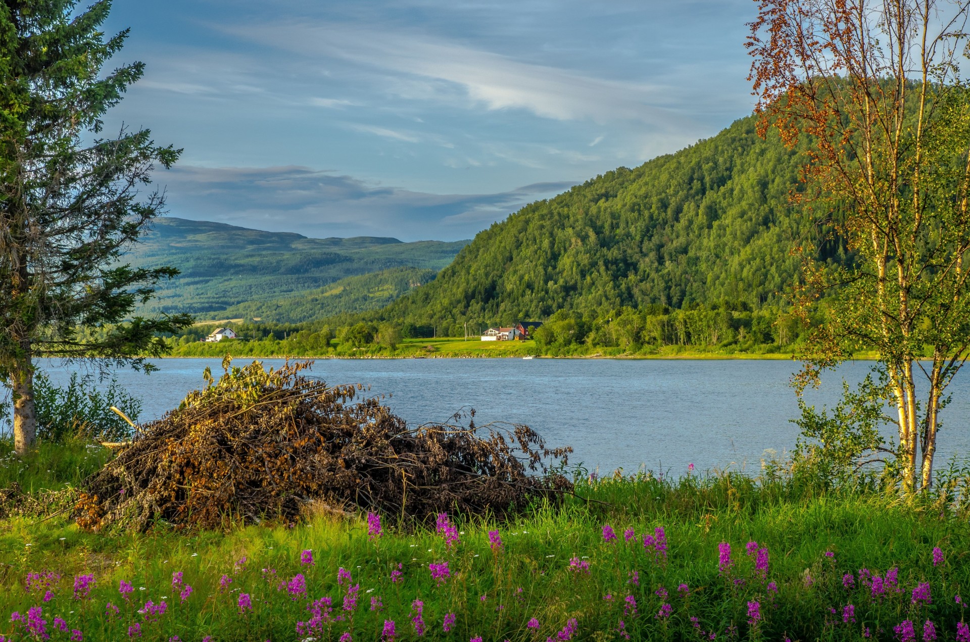 landschaft fluss bäume berge