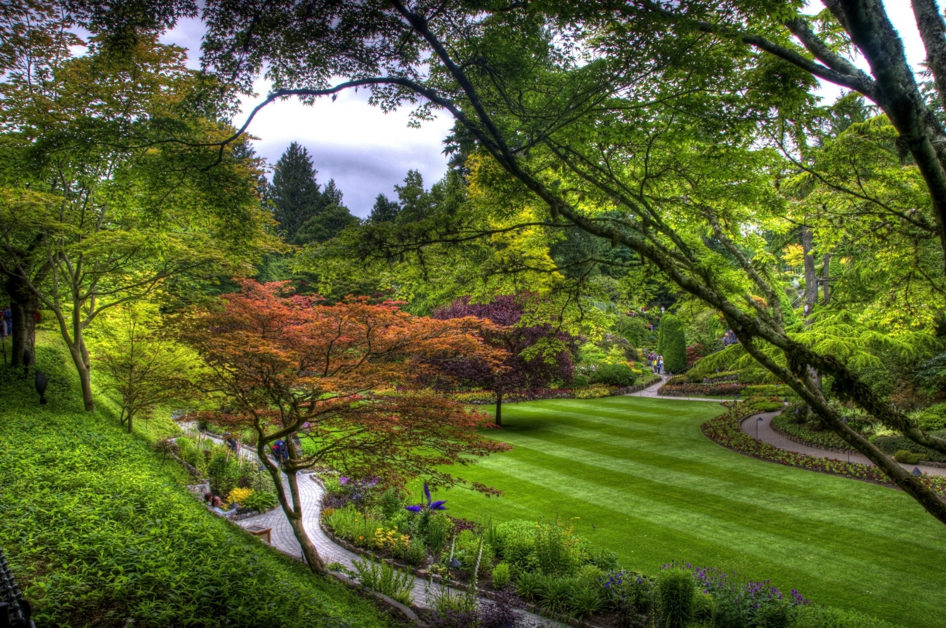 sentiero strisce alberi top prato verde giardino