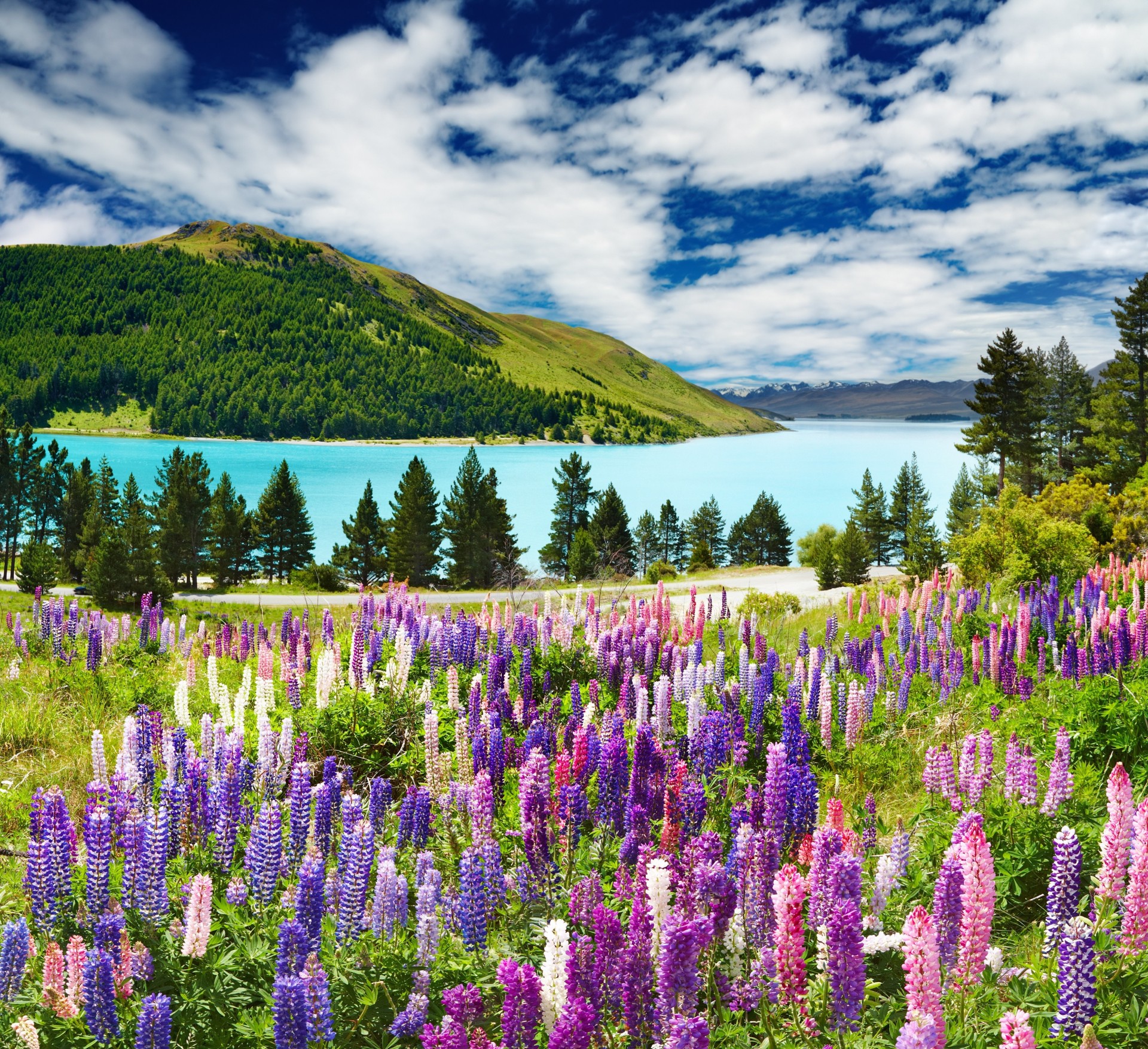 lavanda nubes montañas lago cielo lila azul