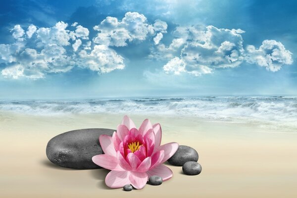 Paradise aesthetics - sea, stones, lilies, clouds