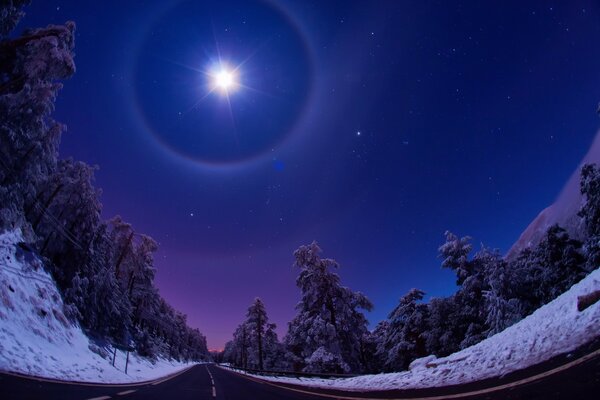 Clair de lune d hiver et ciel étoilé