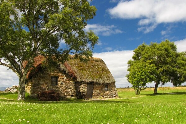 Cabane dans un champ