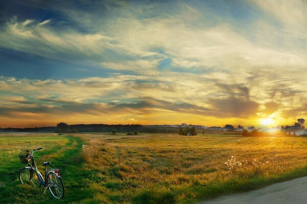 A forgotten bicycle. Silence in the field