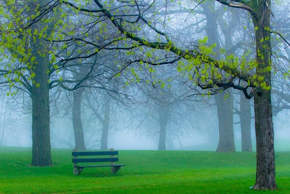 Der Park liegt im Nebel. Eine Bank im Frühlingspark