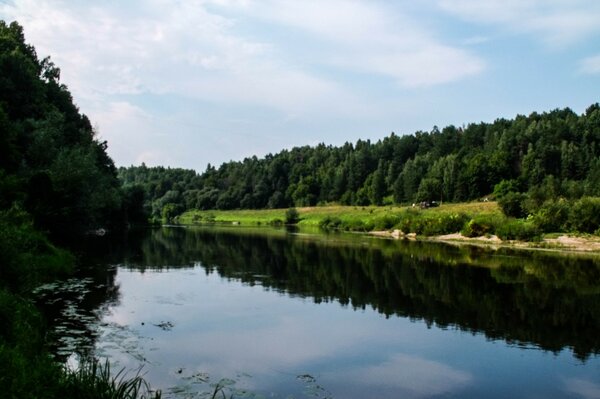 Rivière dans les montagnes. Nature. Paysage