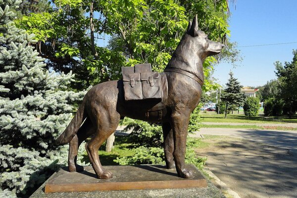 Ein Schäferhunddenkmal im russischen Wolgograd