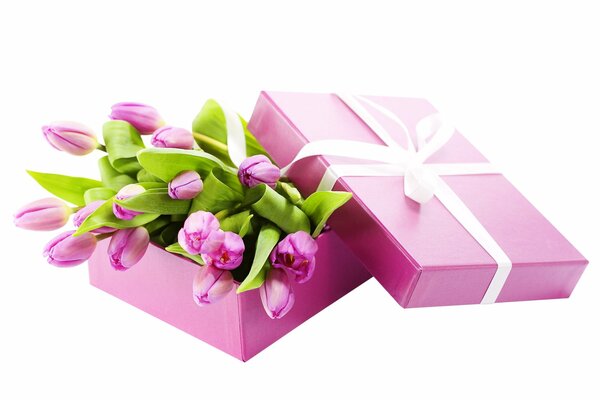 Rosa Box mit Tulpen und weißem Band