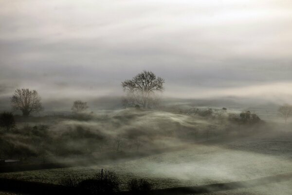 Dichter Nebel im Feld in der Nacht