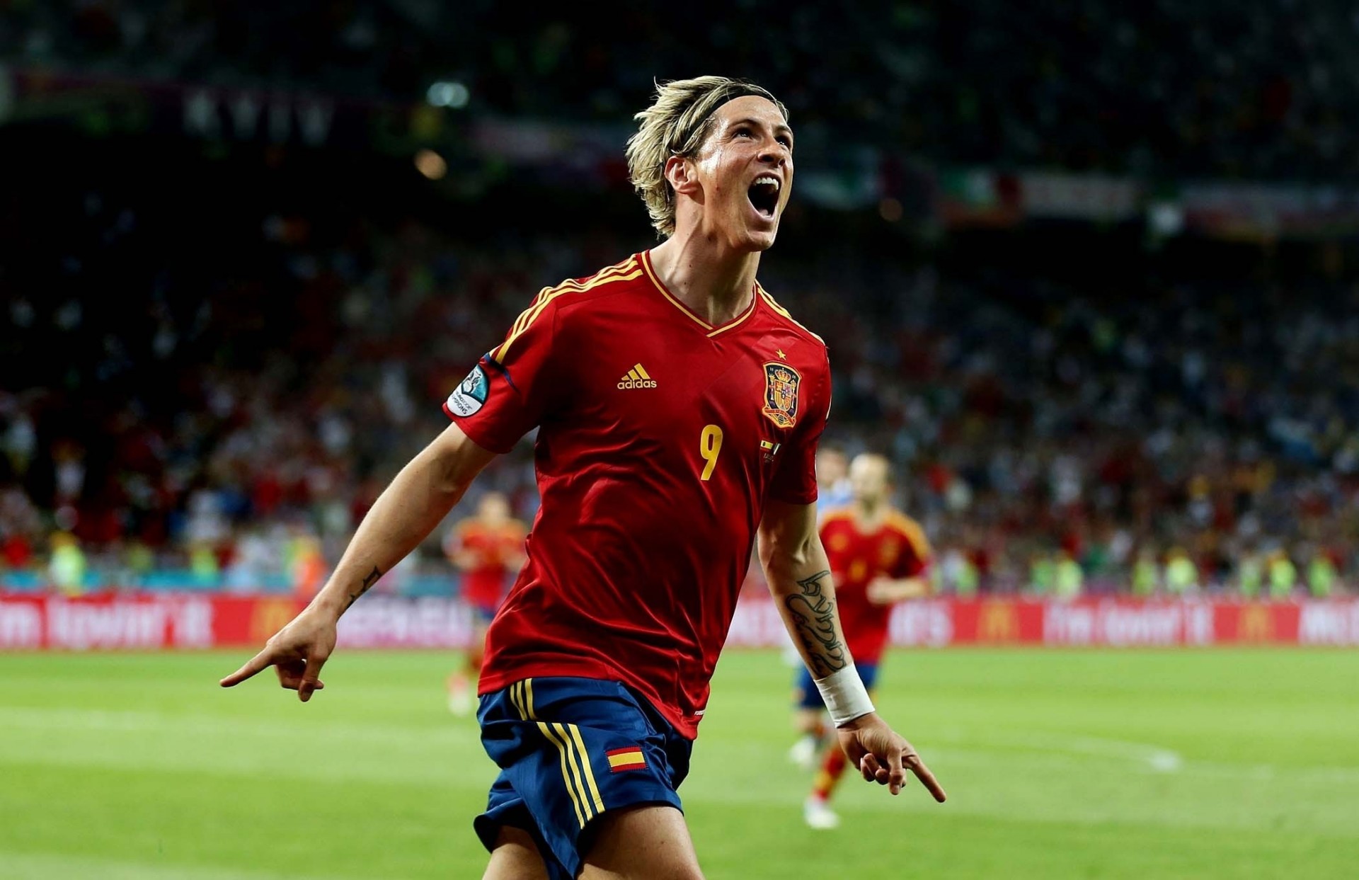 football 2012 euro torres spain