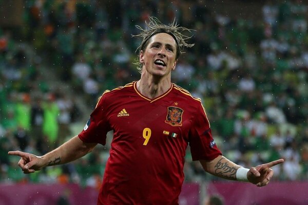 Football player Fernado torres during the match